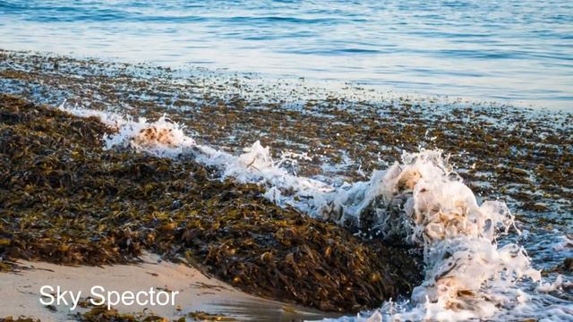 20 Роберт Адамс Вы не я Сатсанг Аудиокнигa Адвайта NikOsho1 смотреть онлайн