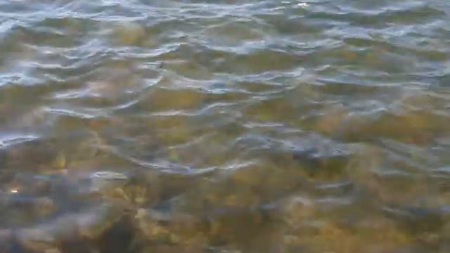 ZEN Float Meditation