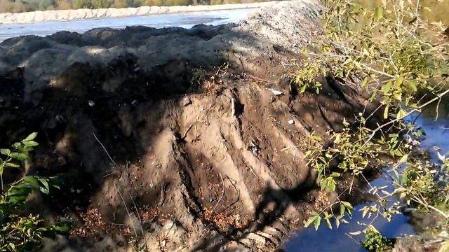 В Брянске у Речного намыли озеро смотреть онлайн