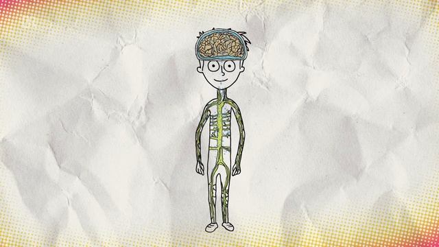 Der Body-Check | Reportage für Kinder | Checker Tobi смотреть онлайн