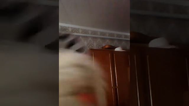 Убийства зайца смотреть онлайн