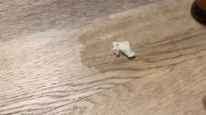 Как СТЕРЕТЬ супер КЛЕЙ с пола