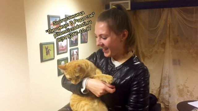 Галина и Оливер о зоогостинице "Питомцы В Радости" смотреть онлайн