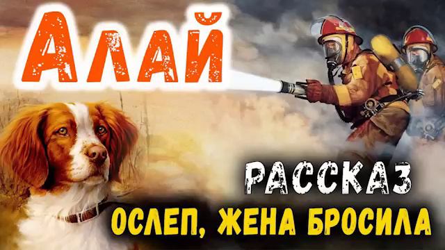 ✔🎄Пожарник ослеп, его бросила жена..Вы пожалеете, если не услышите эту историю🎄 РАССКАЗ смотреть онлайн