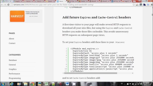 13 Page_Speed_Cache | SEO Udemy Tutorials смотреть онлайн