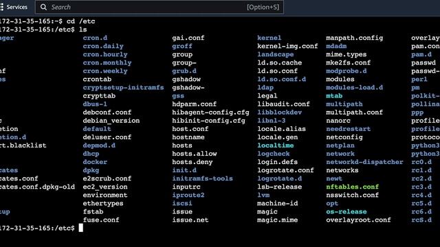 The Linux File System in 4 Minutes | A MUST Learn смотреть онлайн