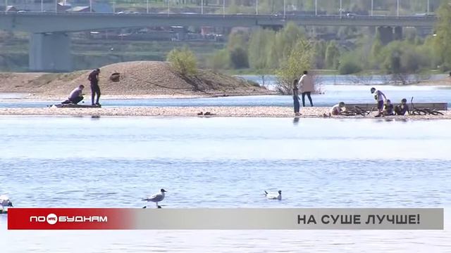 Популярные места для купания в регине признаны опасными для здоровья смотреть онлайн