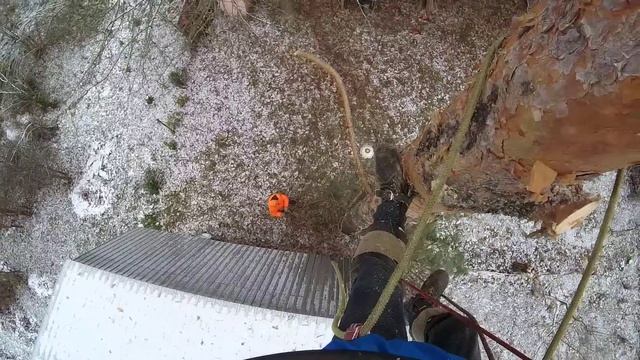 Пилим сосну Ветки над крышей домика От первого лица смотреть онлайн