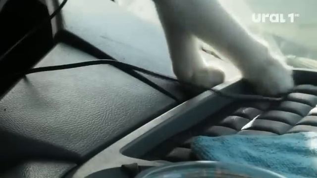 Попали на ТВ. Кокос звезда! смотреть онлайн