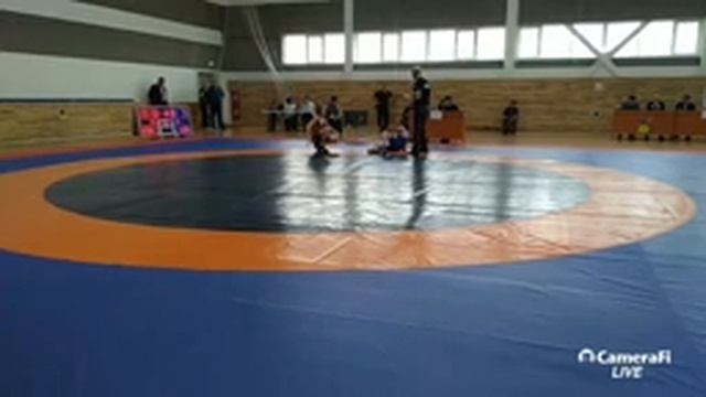 Майкоп ковер 1 день 2 смотреть онлайн