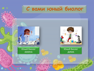 Строение цифрового микроскопа