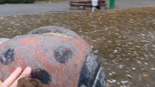 ВЛОГ прогуляшки по зоопарку дикий кабан розовый фламинго Верблюды смотреть онлайн