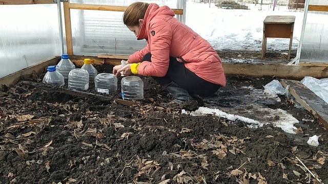 Собираем кленовый сок!!!Кленовый сироп!!!Первые весенние посадки в теплицу!!! смотреть онлайн