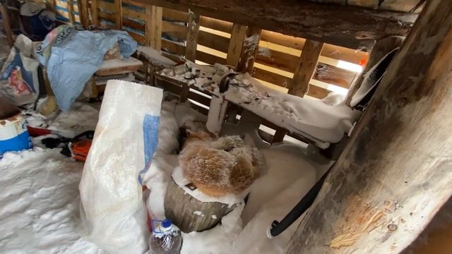 Поездка на Ямал смотреть онлайн
