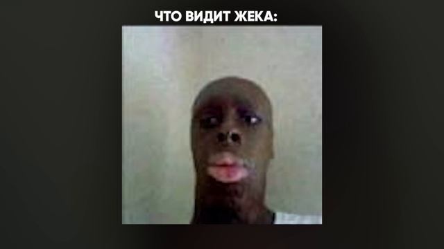 ПРОИГРАЛ - НА ТЕБЯ ВЫСЫПАЮТ МНОГО МЕРЗКИХ НАСЕКОМЫХ! КОМАНДА МБАППЕ vs КОМАНДА БЕЛКИ смотреть онлайн