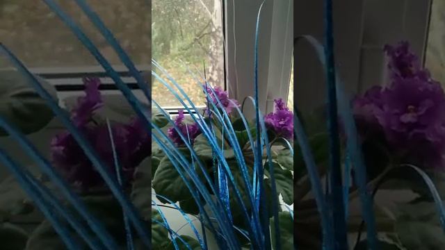 Танцы на стёклам / слоумо смотреть онлайн