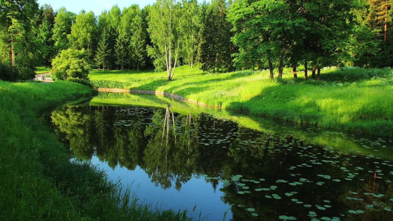 3 ЧАСА МУЗЫКИ ДЛЯ РЕЛАКСА смотреть онлайн