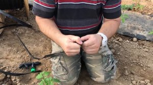 Капельный полив. Как монтировать и ремонтировать капельную ленту?