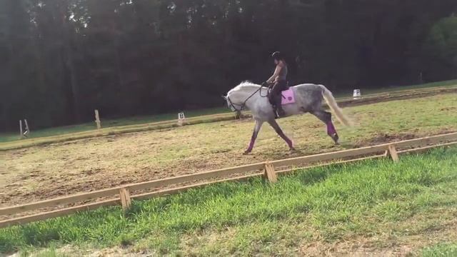 Галено Галоп смотреть онлайн