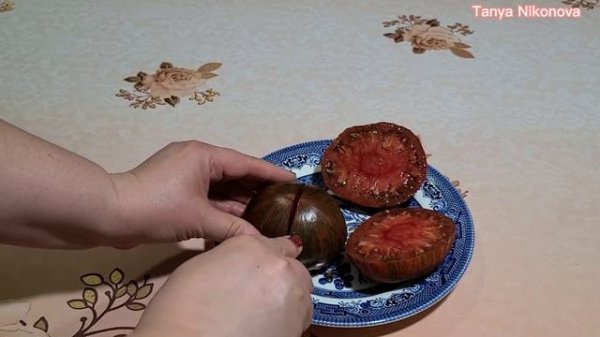 ТОМАТ ШОКОЛАДНЫЕ ПОЛОСКИ. ДЕГУСТАЦИЯ И ОБЗОР ТОМАТА. Tomatoes CHOCOLATE STRIPES.