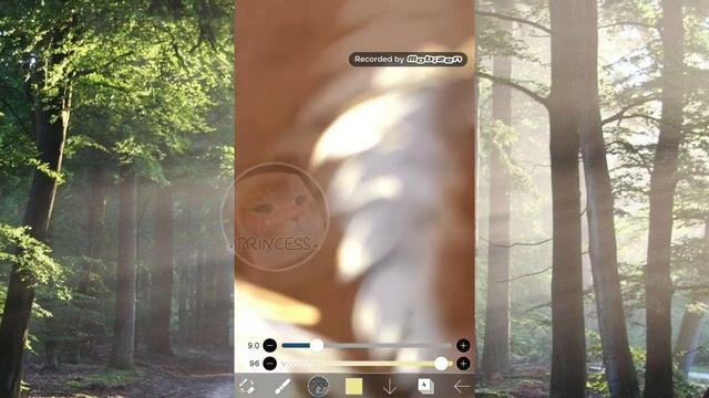 ОБРАБОТКА ЛИСЫ ИЗ WILDCRAFT смотреть онлайн