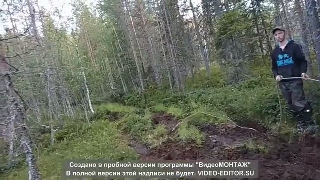 поездка на вонгозеро, архангельская область, онежский район 15. 07. 19 – 22. 07. 19г. смотреть онлайн