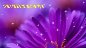 Добрый вечер! Добрым людям! Красивая музыкальная открытка!