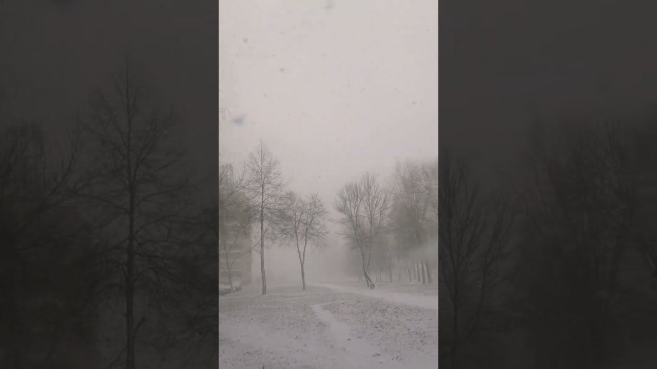 В моём мире всё спокойно. И прогулки (по обыкновению) - в любую погоду ❄️ смотреть онлайн