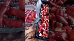 Горький перец на зиму.Сушите перцы,Господа!!! Сушите перцы...