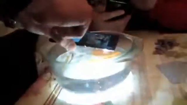 чесный тест в воде Sony m4 aqua смотреть онлайн