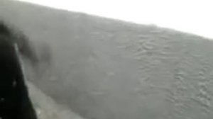 Шуба с помощью веника.