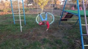 Качели гнездо своими руками