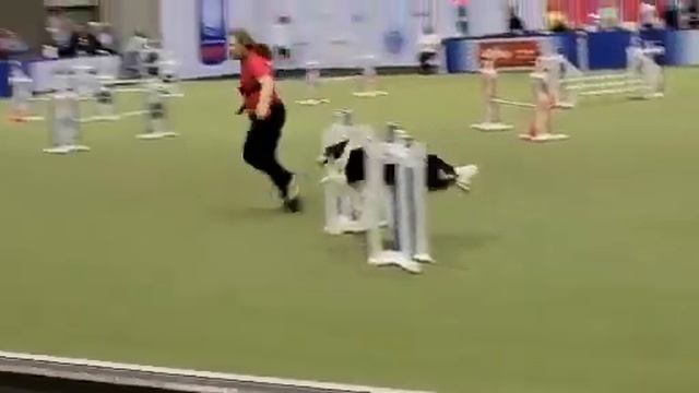 Java day 2, run 1 смотреть онлайн