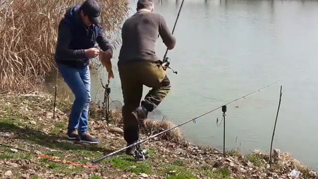 РЫБАЛКА В КБР!!! ЛОВЛЯ КАРПА НА донку !!! смотреть онлайн