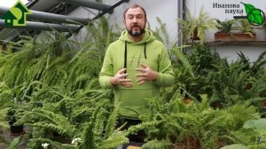 ДАЖЕ СТАРЫЕ ЗАШЕВЕЛЯТСЯ от СТАРТА! Старт-КМЕ: старые, тугие, свежие семена - все на быстрый старт!