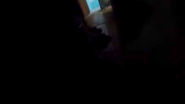 длинный влог, пришли гости? 😲 кот и кошка в подъезде смотреть онлайн