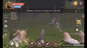 как попасть в секретный мир вилд крафт 2023 @Драконя