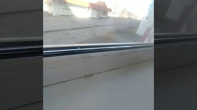 Паста Мистик +диск Инволвер. Очищаем от скотча окно с диском Инволвер и пастой Мистик от Гринвей смотреть онлайн