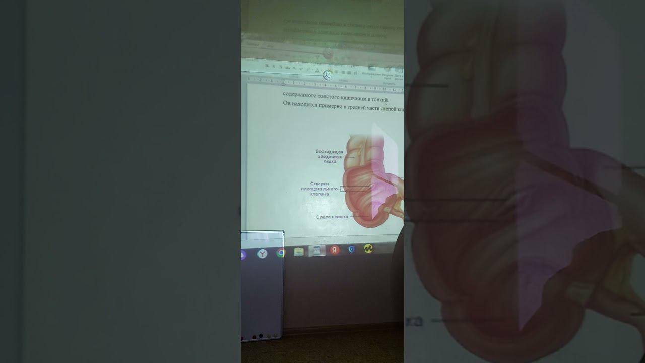 Висцеральный массаж. Видео с семинара. #висцеральныймассаж смотреть онлайн