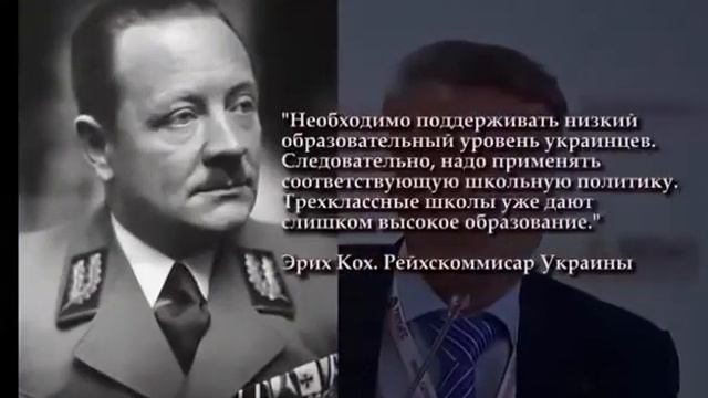 Новая система образования смотреть онлайн