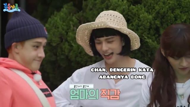 KELUARGA MACAM APA INI? | CUPLIKAN MOMEN SKZ FAMILY (SUB INDO) смотреть онлайн