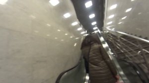 Аэроэкспресс от Домодедово до Москвы