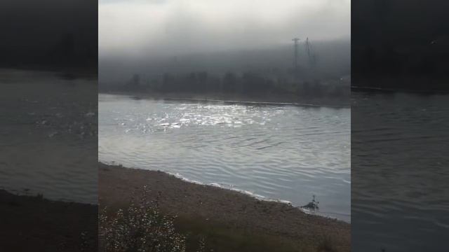 река лена. смотреть онлайн