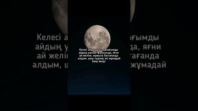 15 февраля 2022 г. смотреть онлайн