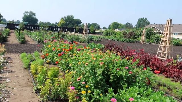 There’s Still Time to Plant Flowers & Fall Veggie Crops from Seed! 💪🌱🌸 // Garden Answer смотреть онлайн