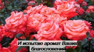 Ya ummi О, моя мама - Нашид