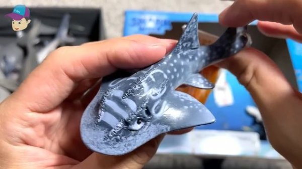 Shark Week Box - Great White Shark, Frilled Shark, Goblin Shark, Hammerhead Shark, Shark Ray