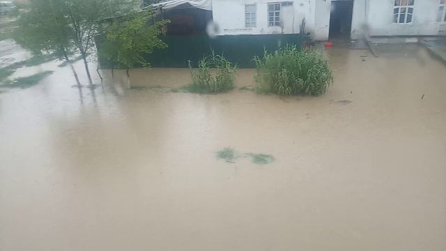 Qashqadaryo Nishon Tumani