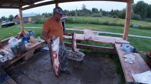 РЕЧНЫЕ МОНСТРЫ!!! ОБЬ. КАРГАСОК. ЧАСТЬ 2