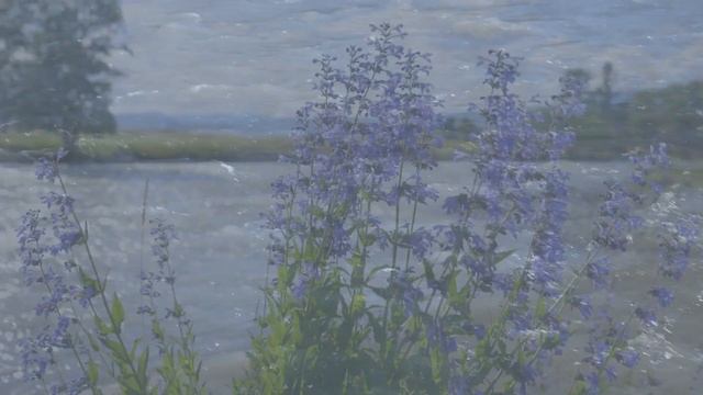 Ушу - Клуб "Архат". Russian Wushu Club "Arhat" смотреть онлайн